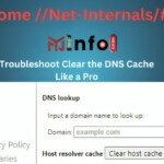 chrome //net-internals/#dns