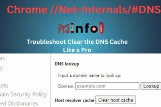 chrome //net-internals/#dns