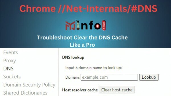 chrome //net-internals/#dns