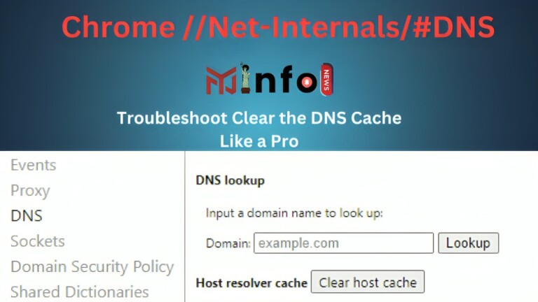 chrome //net-internals/#dns